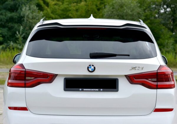 aviary-image-1715328816626