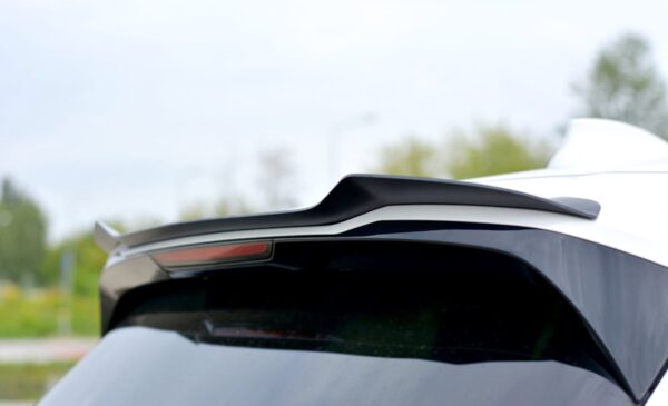 aviary-image-1715328850346