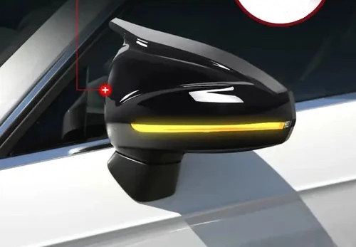 aviary-image-1728852835989