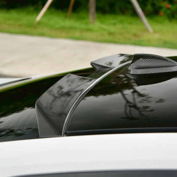 Lumii_20260126_151705874